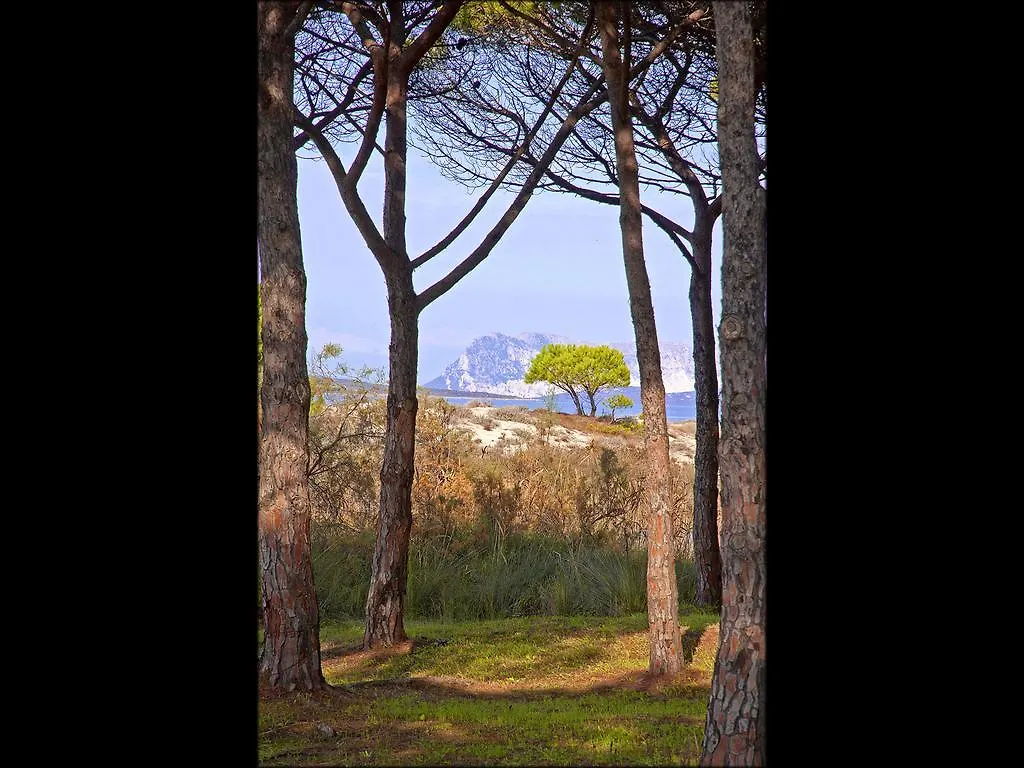 Residenze Mare E Pineta Aparthotel Budoni Italy