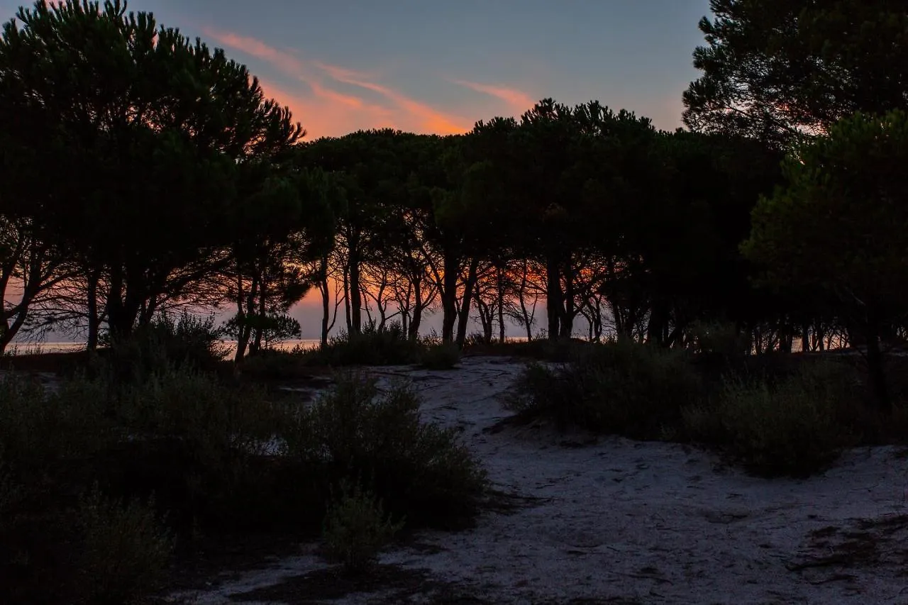 Residenze Mare E Pineta Aparthotel Budoni